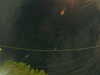 20241005055118-G0017985.JPG