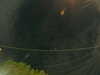 20241005055203-G0017988.JPG
