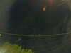 20241005055335-G0017994.JPG