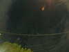 20241005055406-G0017996.JPG
