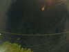 20241005055421-G0017997.JPG