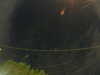20241005055436-G0017998.JPG