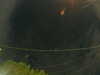 20241005055451-G0017999.JPG