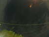 20241005055507-G0018000.JPG