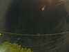 20241005055537-G0018002.JPG