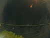 20241005055654-G0018007.JPG