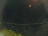 20241005055709-G0018008.JPG