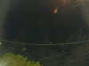 20241005055755-G0018011.JPG