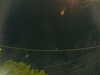 20241005055810-G0018012.JPG