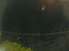 20241005055825-G0018013.JPG