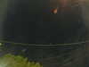 20241005055840-G0018014.JPG