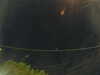 20241005055941-G0018018.JPG