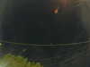 20241005055957-G0018019.JPG