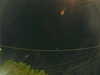 20241005060043-G0018022.JPG