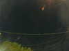 20241005060128-G0018025.JPG