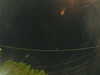20241005060159-G0018027.JPG