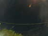 20241005060346-G0018034.JPG