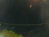 20241005060401-G0018035.JPG