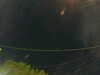20241005060432-G0018037.JPG
