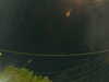 20241005060502-G0018039.JPG