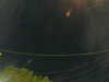 20241005060548-G0018042.JPG