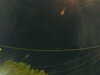 20241005060619-G0018044.JPG