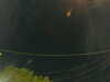 20241005060634-G0018045.JPG