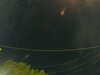 20241005060649-G0018046.JPG