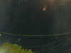 20241005060720-G0018048.JPG