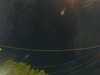 20241005060750-G0018050.JPG
