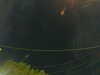 20241005060821-G0018052.JPG