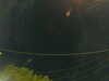 20241005060907-G0018055.JPG