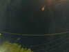 20241005060922-G0018056.JPG