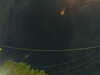 20241005060937-G0018057.JPG