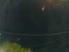 20241005060953-G0018058.JPG