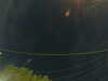 20241005061023-G0018060.JPG