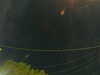 20241005061038-G0018061.JPG