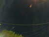 20241005061054-G0018062.JPG