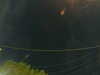 20241005061109-G0018063.JPG