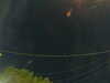 20241005061124-G0018064.JPG