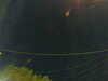 20241005061225-G0018068.JPG
