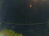 20241005061412-G0018075.JPG