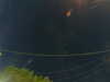 20241005061630-G0018084.JPG