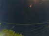 20241005061645-G0018085.JPG