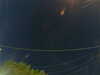 20241005061731-G0018088.JPG