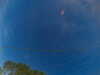 20241005063533-G0018166.JPG