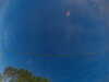 20241005063542-G0018167.JPG