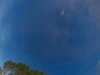 20241005063702-G0018176.JPG