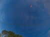 20241005063727-G0018179.JPG