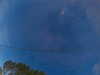 20241005063822-G0018186.JPG